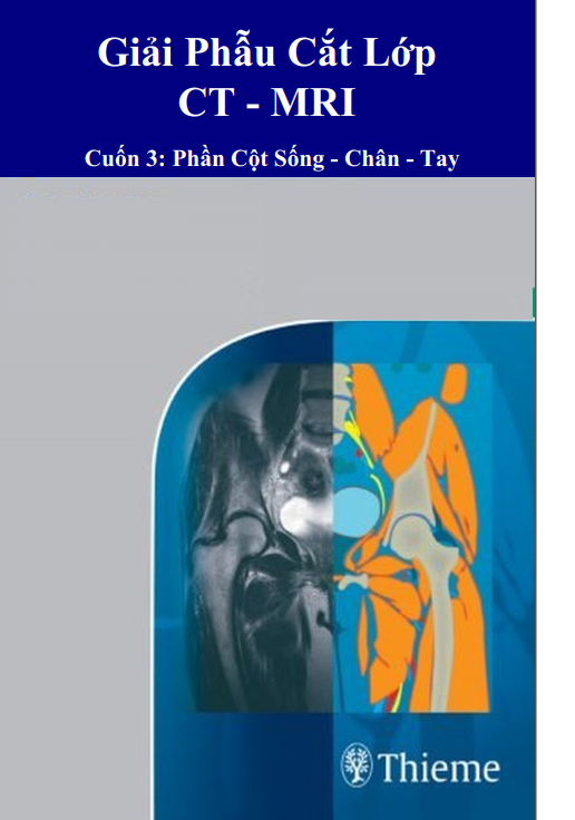 [VIP] Giải phẫu cắt lớp CT-MRI (Phần cột sống-chân-tay)